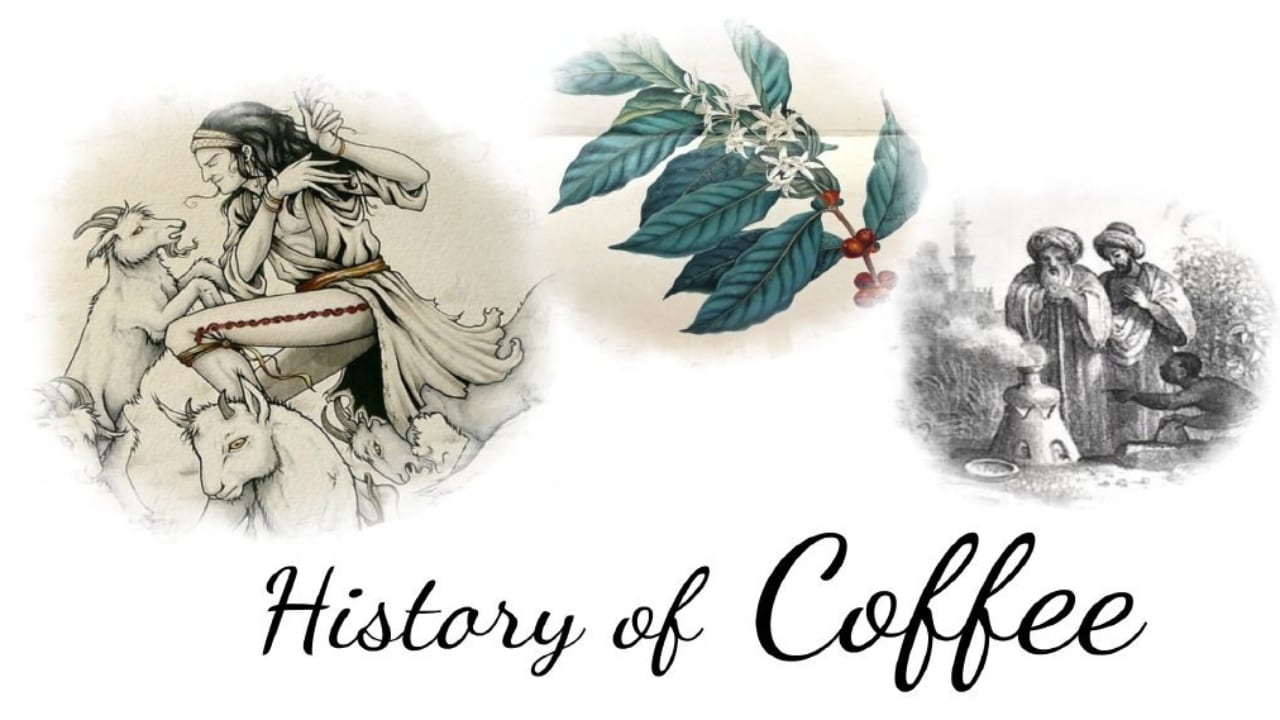 Lịch sử phát triển cafe trên thế giới - Vcafe
